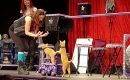 ACRO-CATS una compañía de circo formada por gatos domésticos