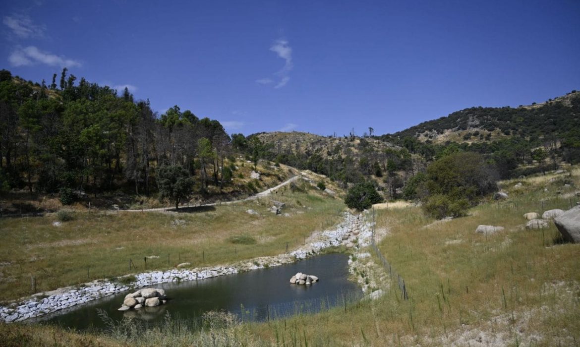 Restauración ecológica y paisajística de la antigua presa de La Alberca