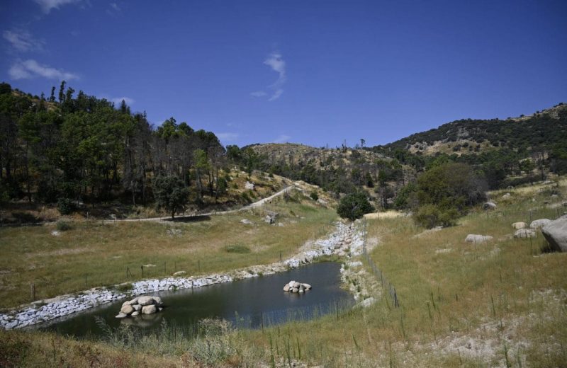 Restauración ecológica y paisajística de la antigua presa de La Alberca