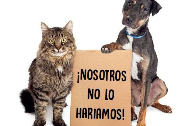 Cartagena impulsa el bienestar animal