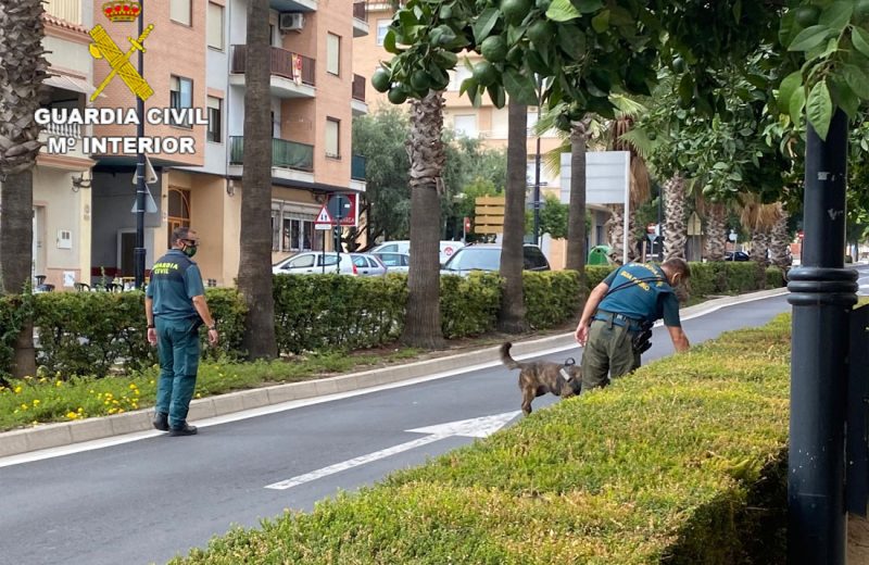 EL SEPRONA de la Guardia Civil de Onteniente (Valencia) investiga en la localidad a un hombre por envenenar a 4 perros