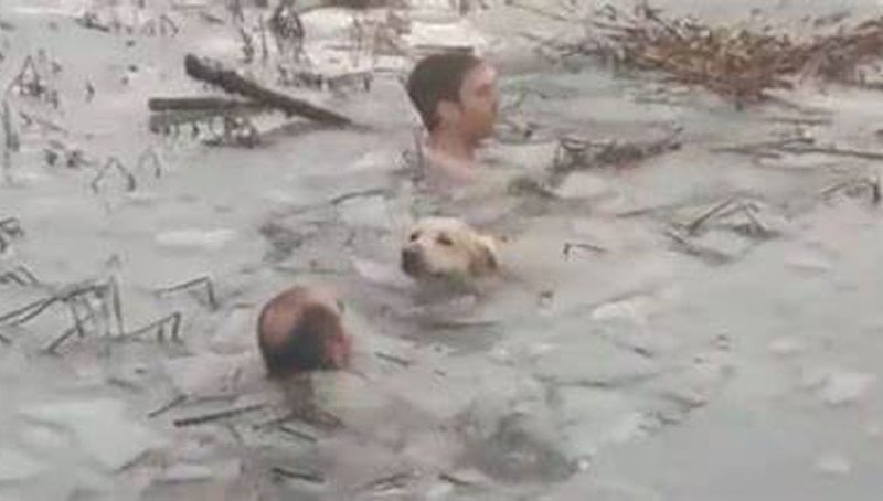 Dos guardias civiles del puesto de Canfranc (Huesca) se arrojan a un lago helado para salvar a un perro