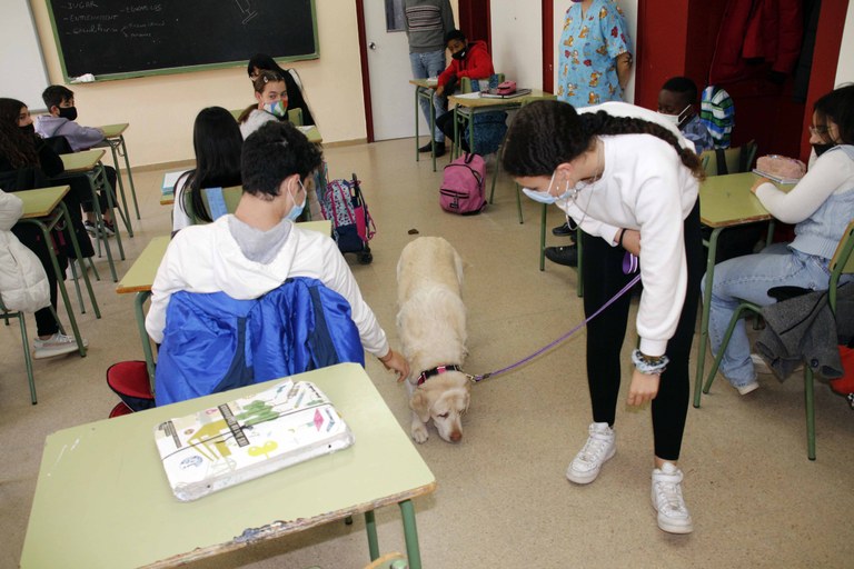 Talleres de tenencia responsable de mascotas en institutos de Lleida