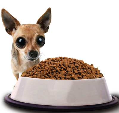 Chihuahua comida