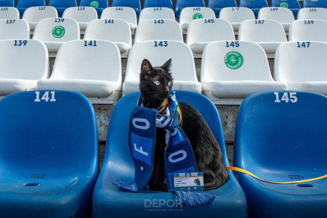 Las mascotas del Deportivo de la Coruña podrán ser socios del club