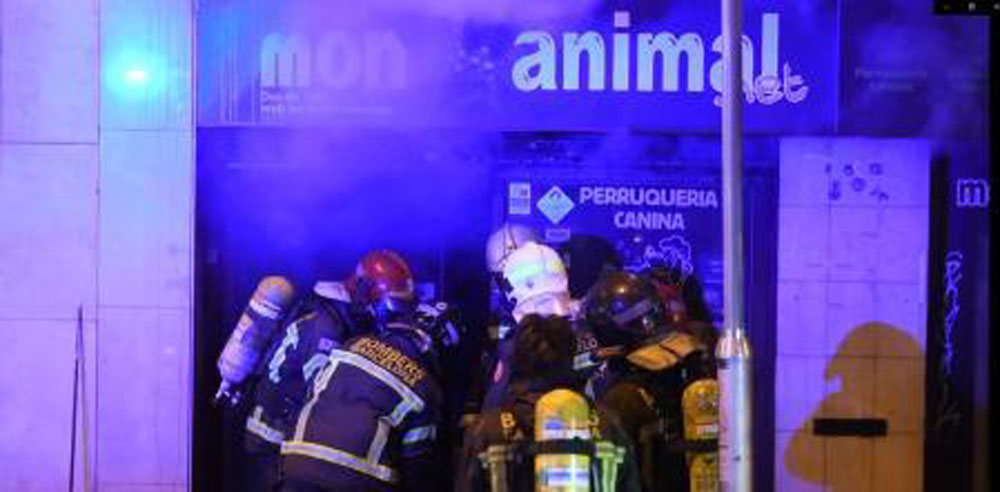 300 animales mueren calcinados en una tienda de mascotas de Barcelona