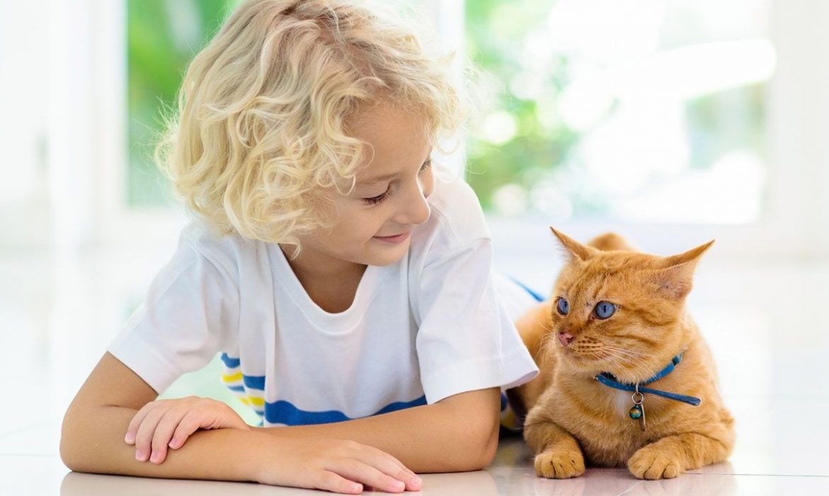 Niños y mascotas: involucrar a los niños en el cuidado de la mascota los hace más responsables y emocionalmente sanos