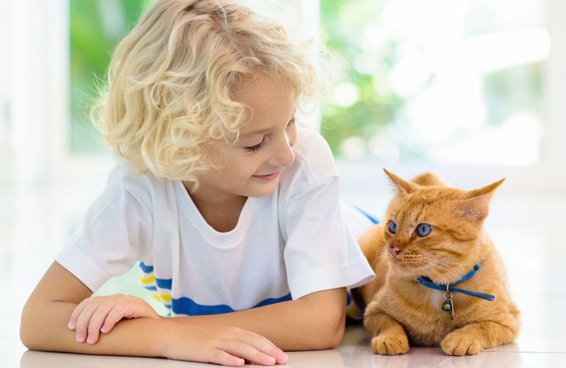 Niños y mascotas: involucrar a los niños en el cuidado de la mascota los hace más responsables y emocionalmente sanos
