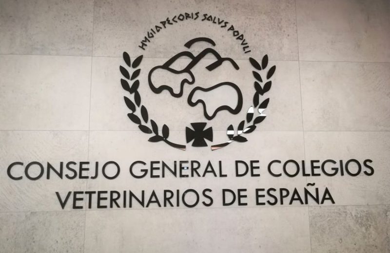 La Organización Colegial Veterinaria Española contra la esterilización sistemática