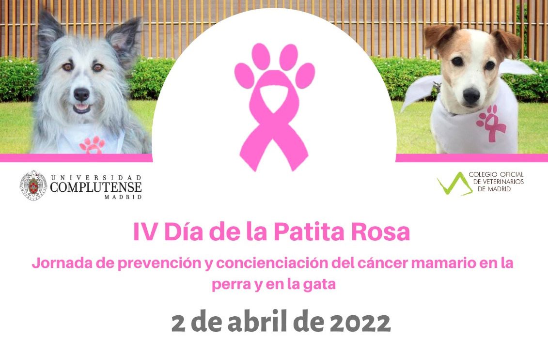 2 de Abril, Día de la patita rosa, contra el cáncer de mama en animales de compañía