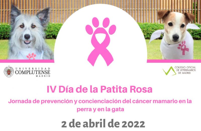 2 de Abril, Día de la patita rosa, contra el cáncer de mama en animales de compañía
