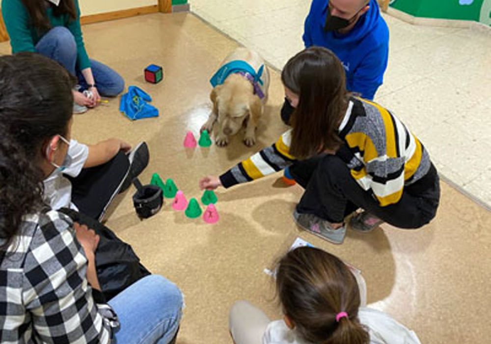 El Hospital Reina Sofía extiende la terapia asistida con perros a la sala de extracción infantil