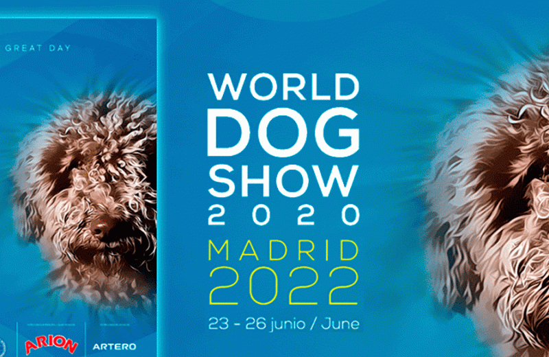 World Dog Show, más de 15.000 perros se darán cita en la Exposición Mundial Canina de Madrid