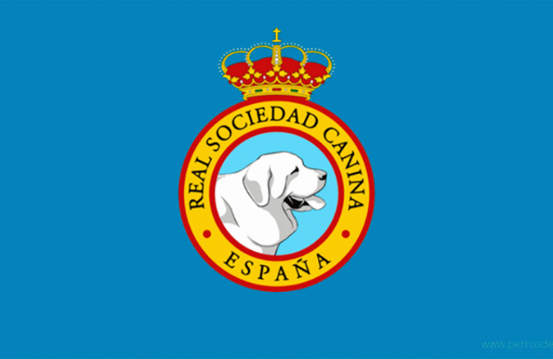 Comunicado de la Real Sociedad Canina de España ante la resolución de la Comisión Nacional de los Mercados y la Competencia