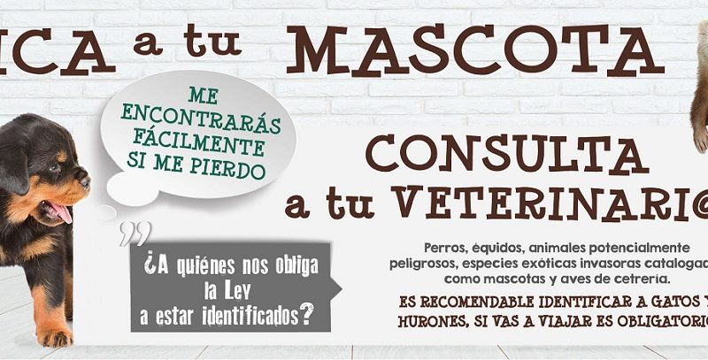 El 65% de los municipios de Valencia puede hacer consultas ya en el Registro Informático de Identificación Animal