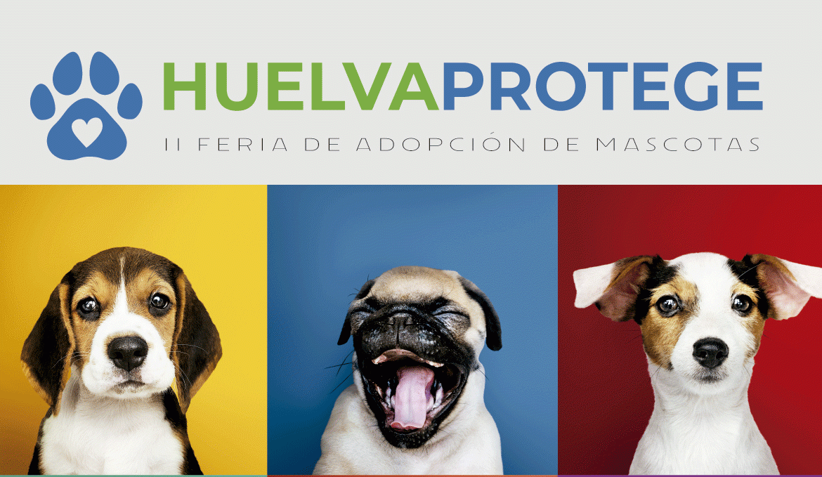 2ª edición de la Feria Provincial de adopción de animales ‘Huelva protege’
