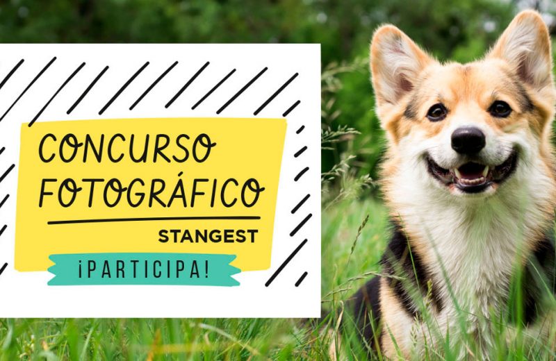 Concurso Fotográfico Stangest 2022