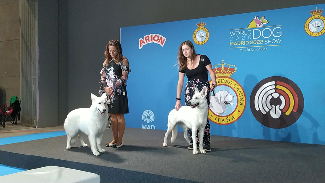 Su Majestad la Reina Doña Sofía inaugura en IFEMA MADRID World Dog Show, la mayor exposición canina del mundo