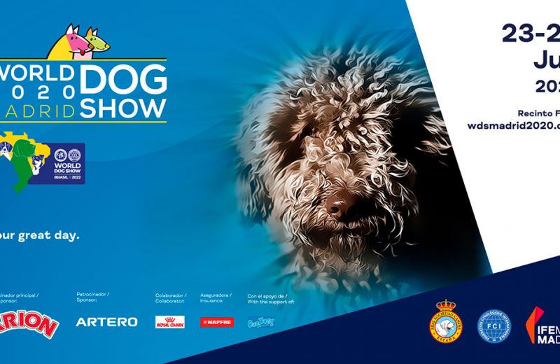 Comienza el DOG WORLD SHOW en Madrid