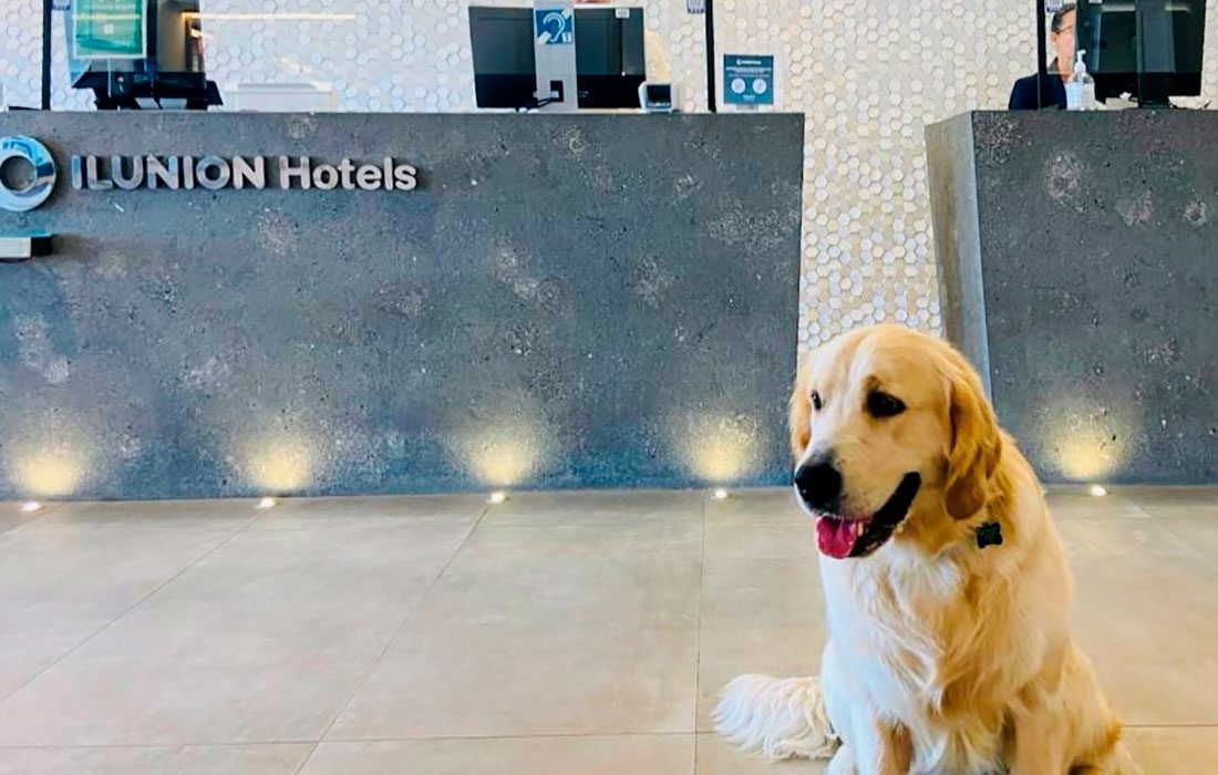Ilunion Hotels abre sus 29 establecimientos también a las mascotas