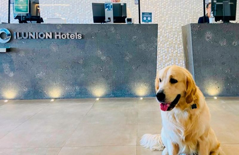 Ilunion Hotels abre sus 29 establecimientos también a las mascotas