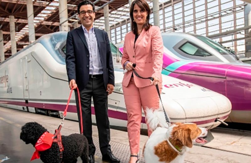 Renfe llevará a cabo una prueba piloto para viajar con perros de hasta 40kg en trenes AVE-Larga Distancia