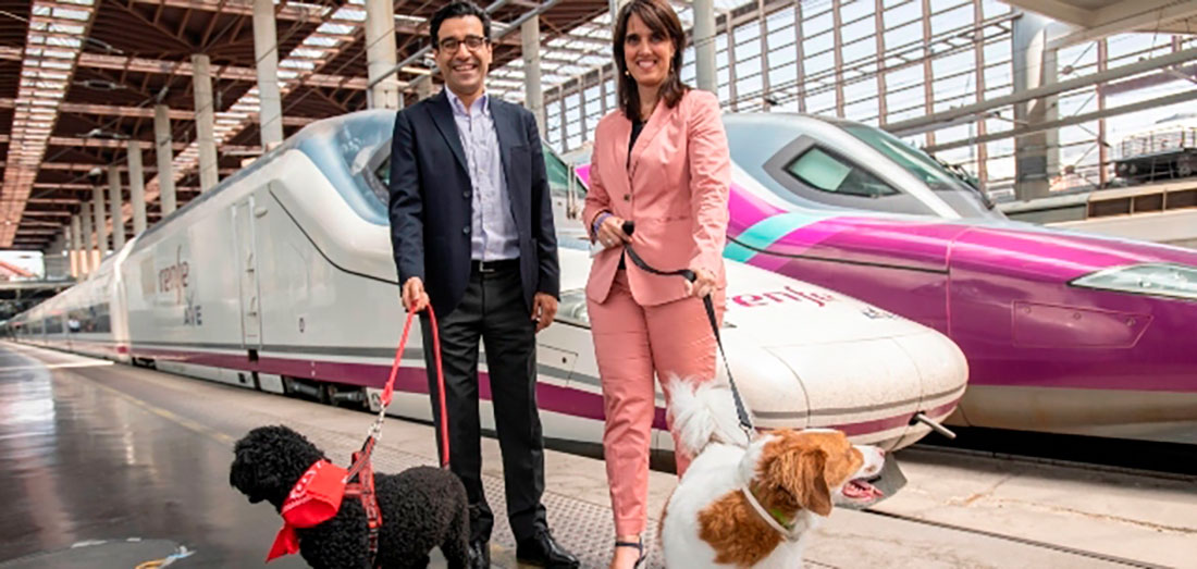 Renfe llevará a cabo una prueba piloto para viajar con perros de hasta 40kg en trenes AVE-Larga Distancia