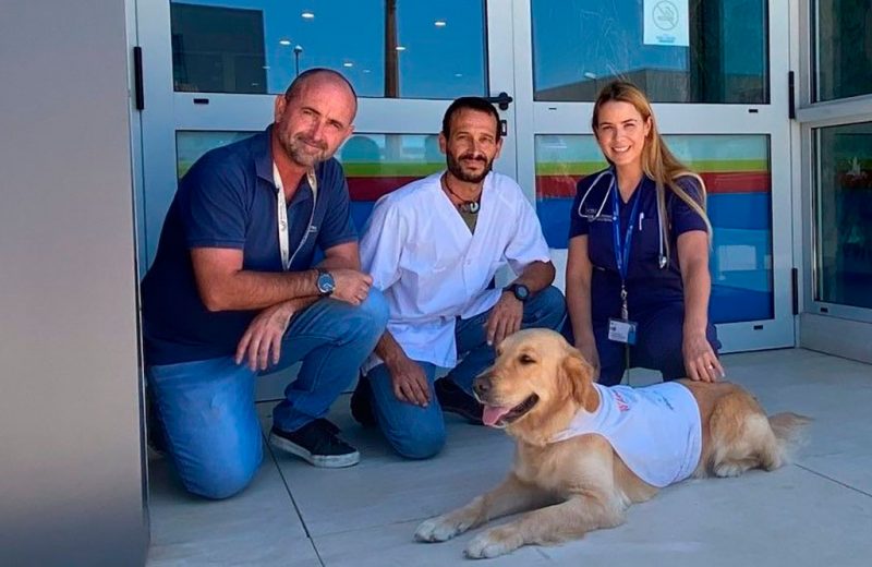 El HCV CEU colabora con la Unidad de Asistencia Pediátrica con Perros (UFAPP) del Hospital Quirón Salud