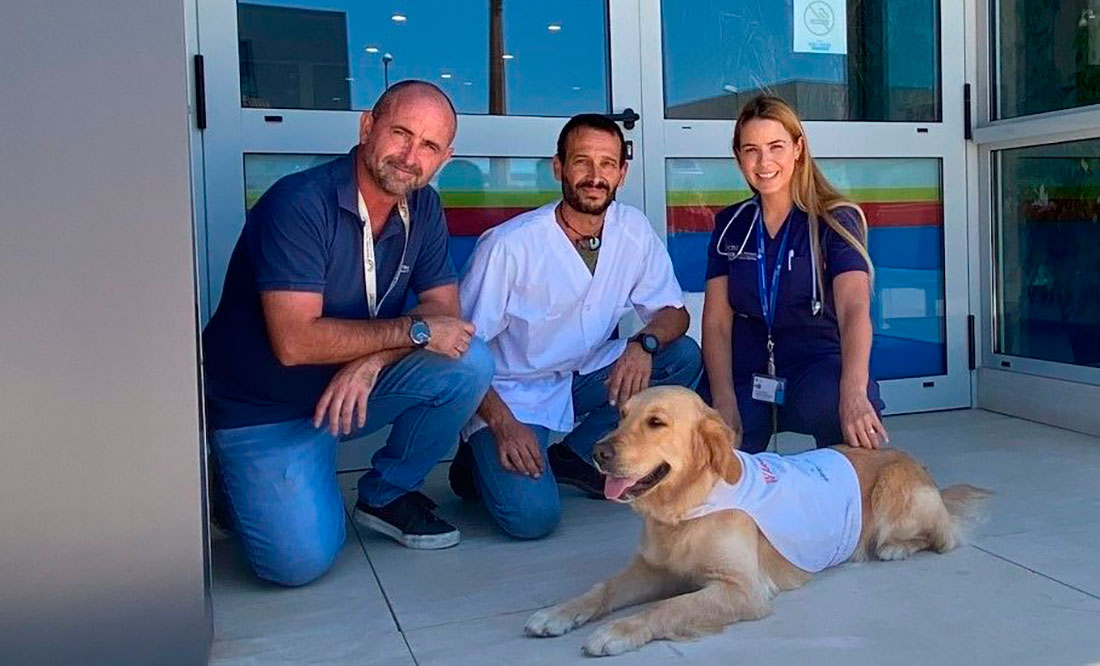 El HCV CEU colabora con la Unidad de Asistencia Pediátrica con Perros (UFAPP) del Hospital Quirón Salud