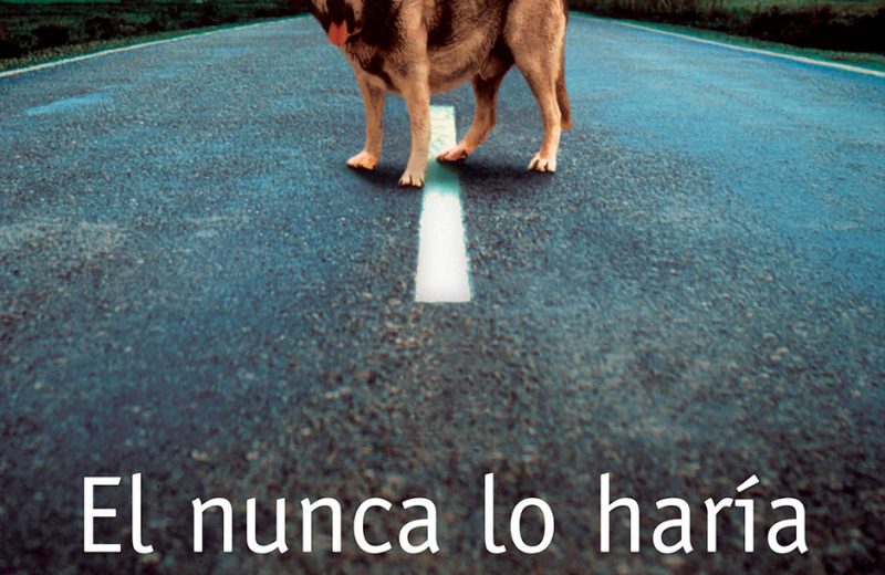 Fundación Affinity presenta una nueva edición de su Estudio “Él Nunca Lo Haría” con datos de abandono, pérdida y adopción de perros y gatos en España