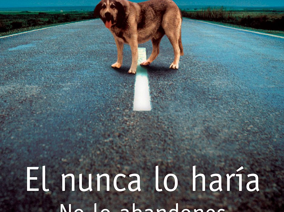 Fundación Affinity presenta una nueva edición de su Estudio “Él Nunca Lo Haría” con datos de abandono, pérdida y adopción de perros y gatos en España