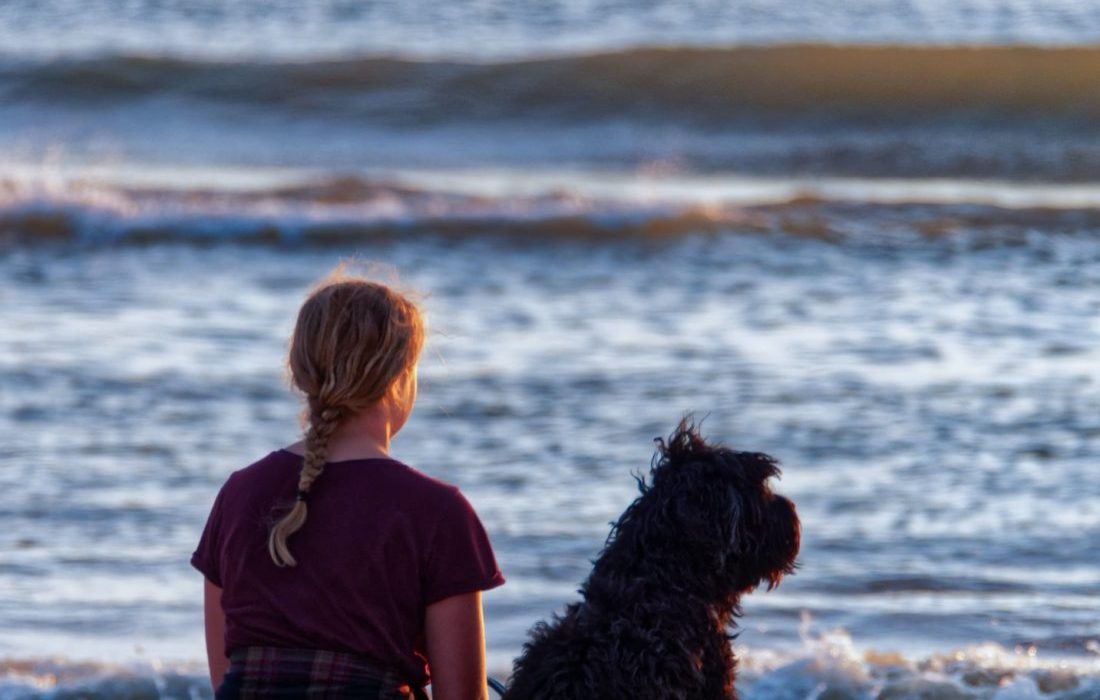 girl and dog sitting on seashore while watching on sea