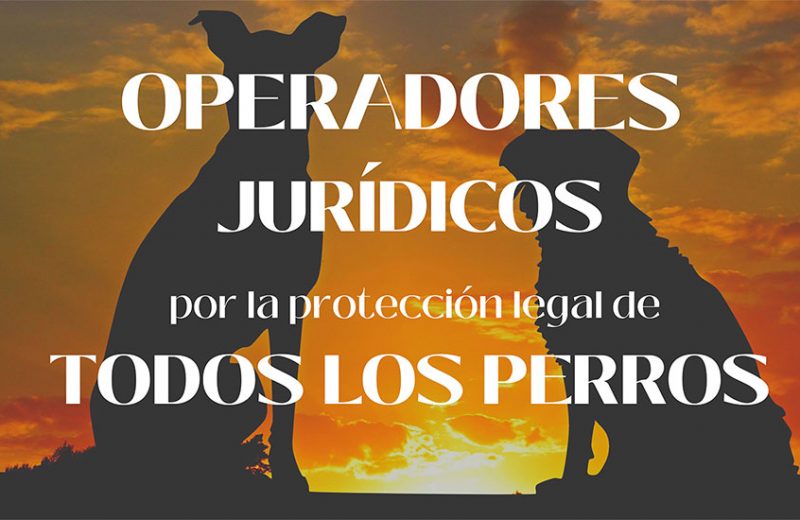 Operadores jurídicos de toda España alertan sobre el grave error legal de excluir a algunos perros de la Ley de Protección Animal