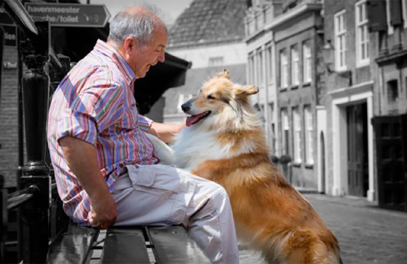 Las mascotas y el vínculo que se establece en los pacientes de Alzheimer