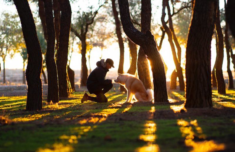 El cambio de hora en los perros: seis consejos para afrontar sin problemas los días más cortos y la bajada de temperaturas