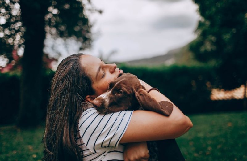woman in white and black stripe shirt hugging brown short coated dog