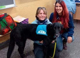 Acana y CITA Terapias Animales se unen en un nuevo proyecto contra el acoso escolar