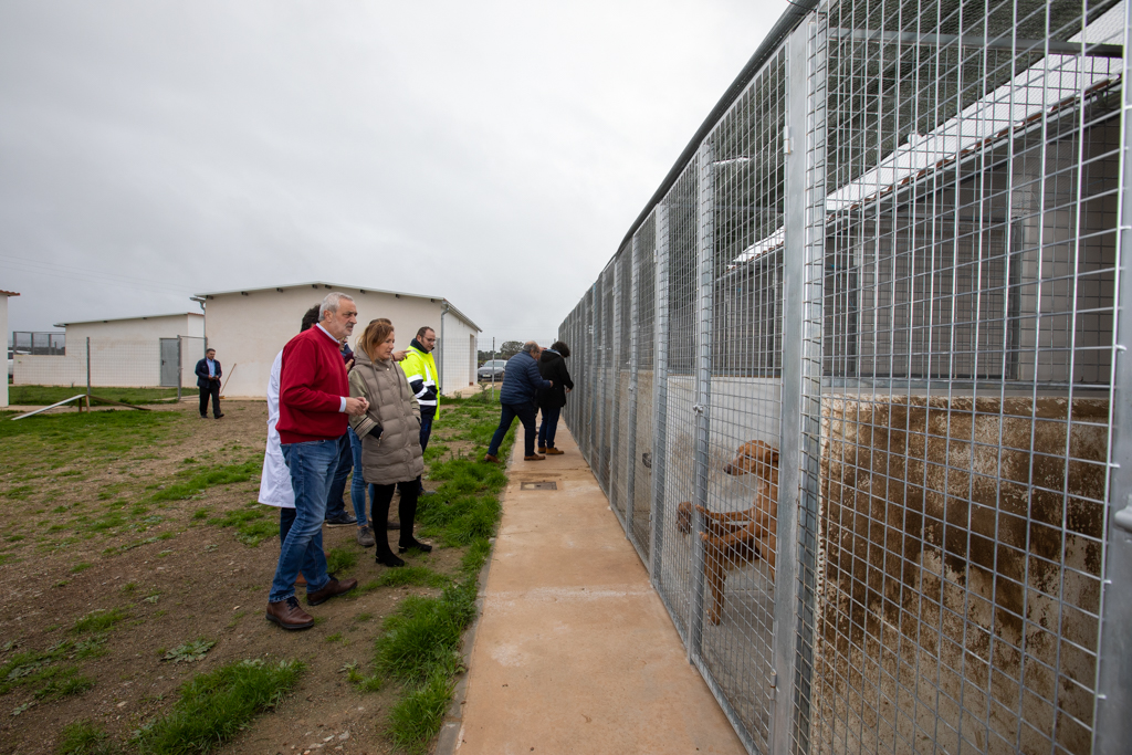 El Refugio Provincial de Animales de la Diputación de Cáceres consigue la adopción de 60 perros desde su puesta en funcionamiento