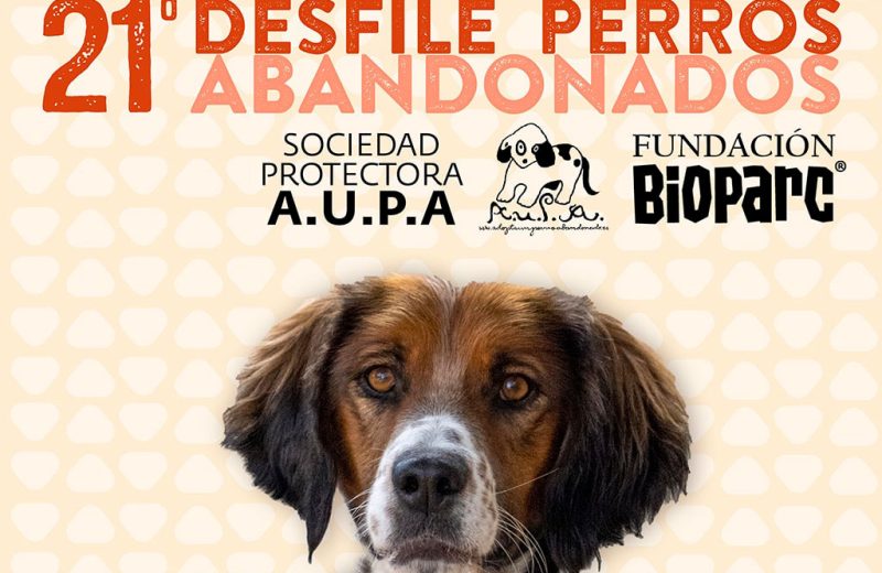 El domingo 18 de diciembre BIOPARC Valencia acogerá el 21º Desfile para adoptar perros abandonados de la protectora AUPA