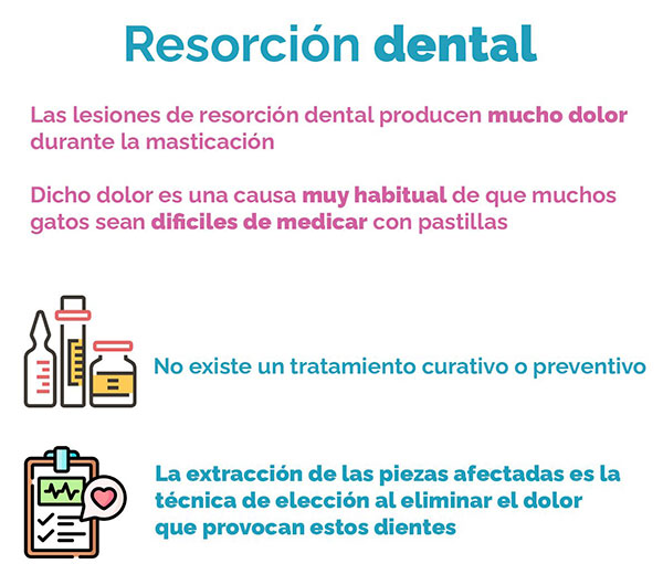 Resorción dental