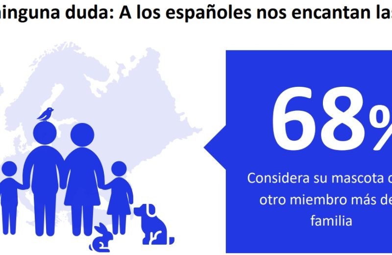 El 71% de los españoles cree que la tecnología puede mejorar el bienestar de su mascota