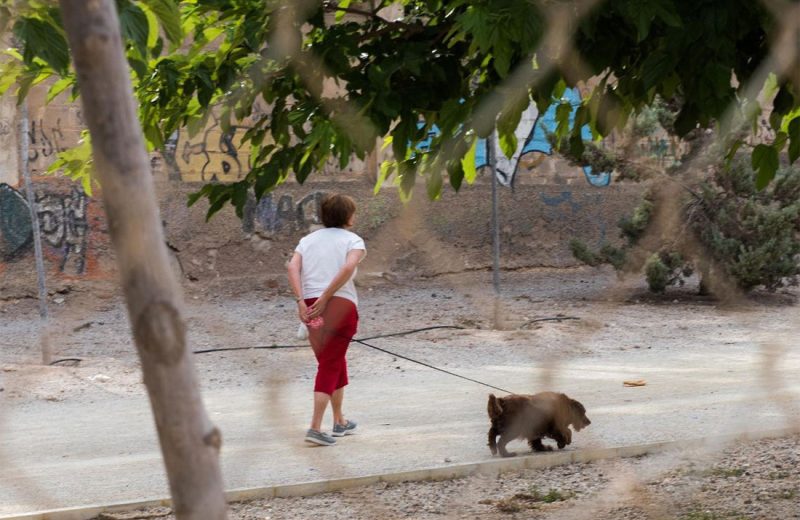 La Policía Local de Cartagena pone en marcha una nueva campaña de control de animales de compañía