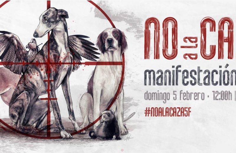 La plataforma «NO A LA CAZA» vuelve a salir a las calles el 5 de febrero