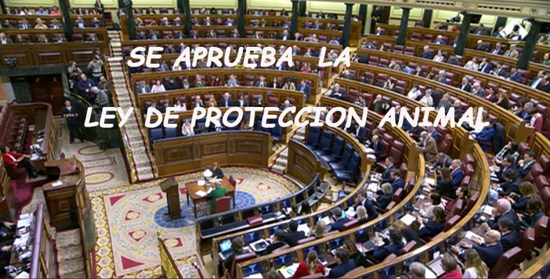Varapalo del Congreso a la protección animal en España