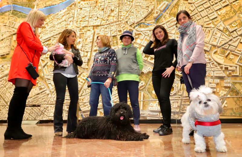Ayuntamiento de Zaragoza permite el acceso de mascotas a las dependencias municipales