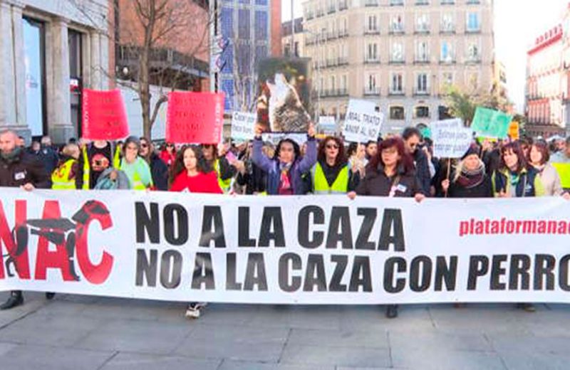 44 ciudades españolas se manifiestan contra la caza bajo el lema #MismosPerrosMismaLey