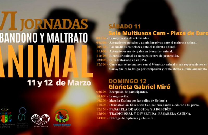 VI Jornadas sobre abandono y maltrato animal en Orihuela
