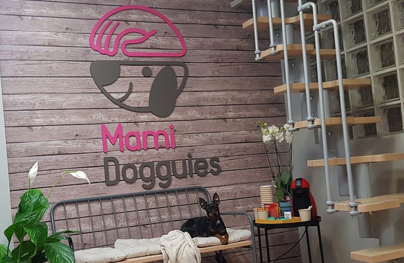 Guardería canina en Madrid ¿es lo mismo que una residencia para perros?