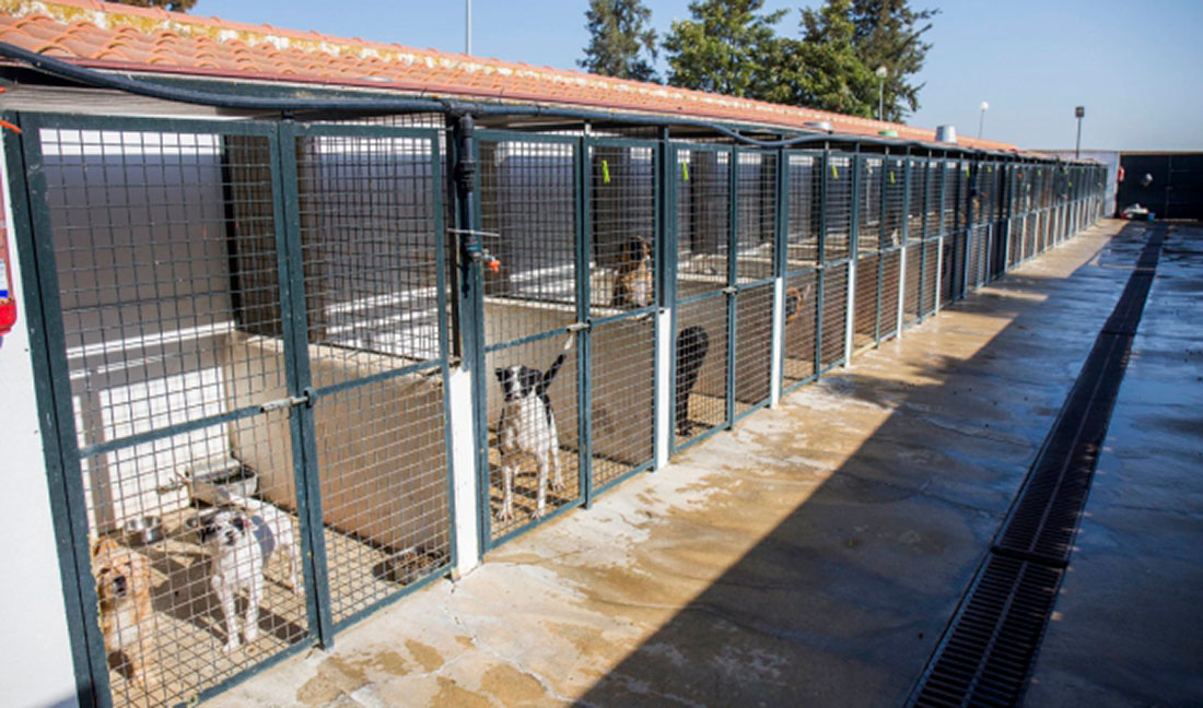 Dos asociaciones de Huelva desarrollan acciones de voluntariado en el Centro de Acogida de Animales gracias al acuerdo con el Ayuntamiento