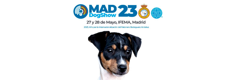El Ratonero Bodeguero Andaluz afronta su última fase de su reconocimiento internacional en la Mad Dog Show